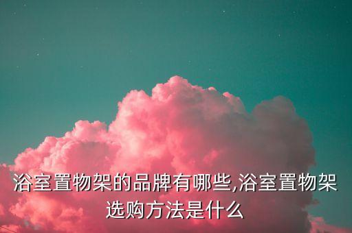 鉑金系列衛(wèi)浴品牌,衛(wèi)浴系列有哪些品牌