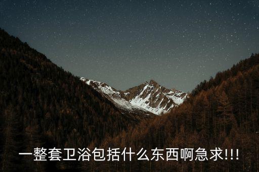 主臥衛(wèi)浴掛件收納箱圖片