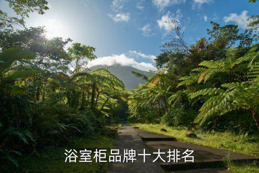 線上線下衛(wèi)浴品牌有哪些,衛(wèi)浴線上和線下的品牌質(zhì)量是一樣的嗎