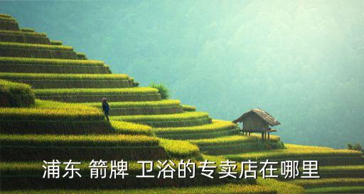 浦東 箭牌 衛(wèi)浴的專賣店在哪里