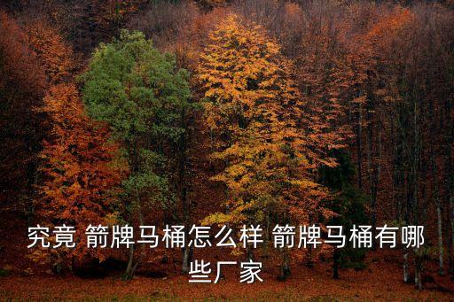 箭牌衛(wèi)浴新廠地址在哪里,高明箭牌衛(wèi)浴廠在哪里