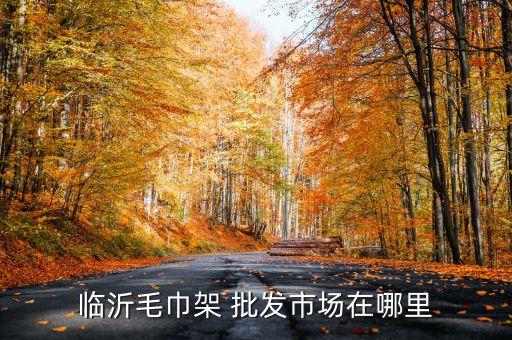 臨沂毛巾架 批發(fā)市場在哪里