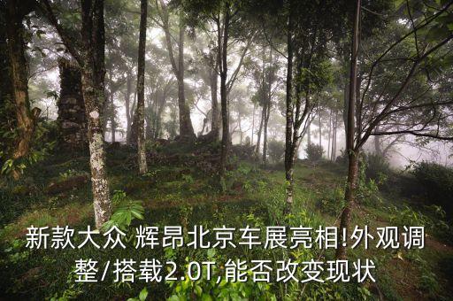 新款大眾 輝昂北京車展亮相!外觀調(diào)整/搭載2.0T,能否改變現(xiàn)狀
