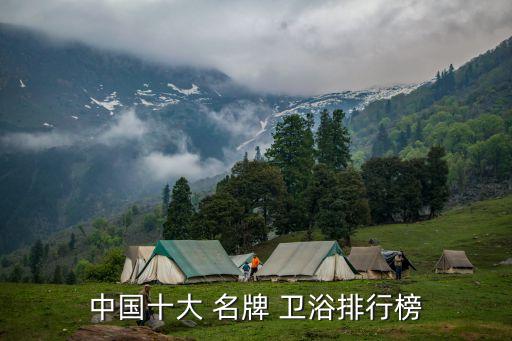 中國(guó)十大 名牌 衛(wèi)浴排行榜
