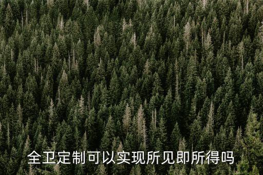 全衛(wèi)定制可以實現(xiàn)所見即所得嗎