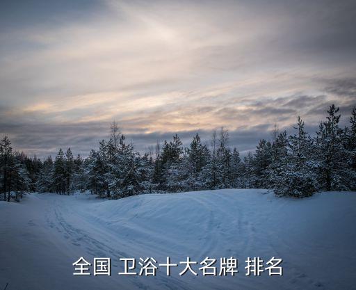 全國 衛(wèi)浴十大名牌 排名