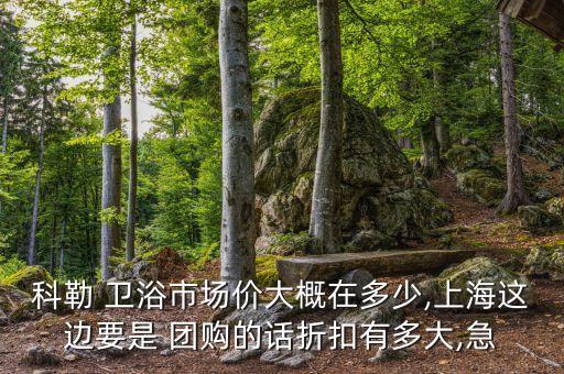 科勒 衛(wèi)浴市場價大概在多少,上海這邊要是 團購的話折扣有多大,急