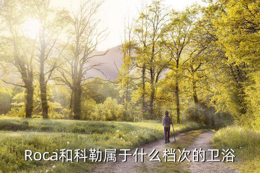 Roca和科勒屬于什么檔次的衛(wèi)浴