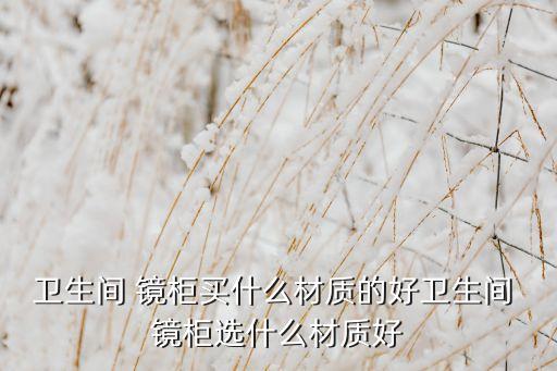 衛(wèi)生間 鏡柜買什么材質(zhì)的好衛(wèi)生間 鏡柜選什么材質(zhì)好