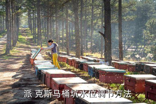 派克斯衛(wèi)浴圖片,愛派克斯國(guó)際物流的圖片