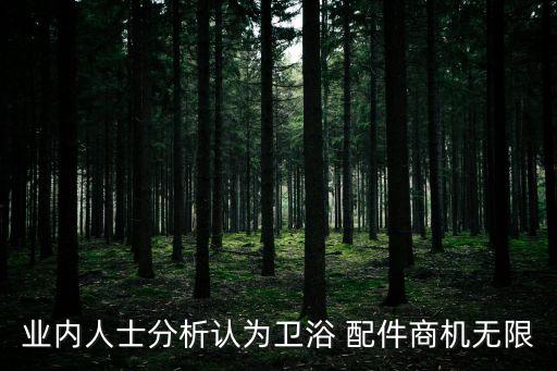 業(yè)內(nèi)人士分析認為衛(wèi)浴 配件商機無限