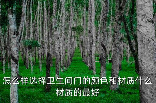 衛(wèi)浴門裝什么樣的好用圖片