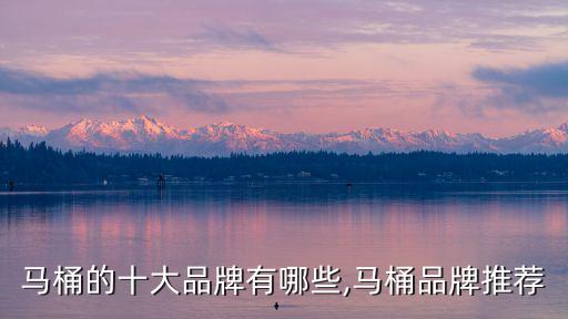 廁所衛(wèi)浴哪個(gè)品牌好,樂(lè)家衛(wèi)浴是哪個(gè)國(guó)家的品牌
