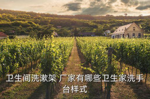 衛(wèi)生間洗漱架 廠家有哪些衛(wèi)生家洗手臺(tái)樣式