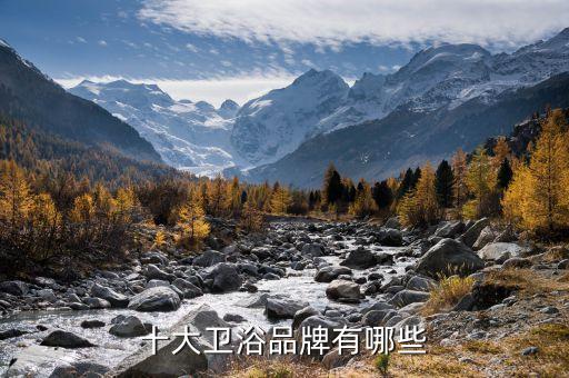十大衛(wèi)浴品牌有哪些