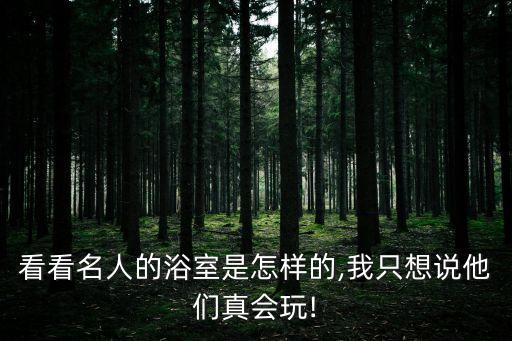 灰色無縫衛(wèi)浴圖片欣賞視頻