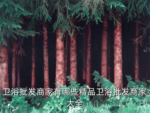 新蔡縣衛(wèi)浴裝飾公司電話,衛(wèi)浴品牌與裝飾公司合作協(xié)議