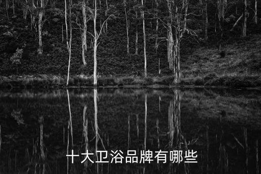  十大衛(wèi)浴品牌有哪些