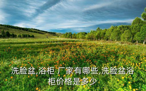 洗臉盆,浴柜 廠家有哪些,洗臉盆浴柜價格是多少