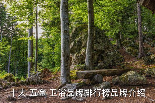 十大 五金 衛(wèi)浴品牌排行榜品牌介紹