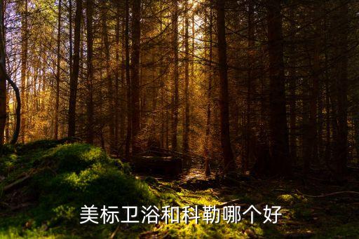  美標(biāo)衛(wèi)浴和科勒哪個好