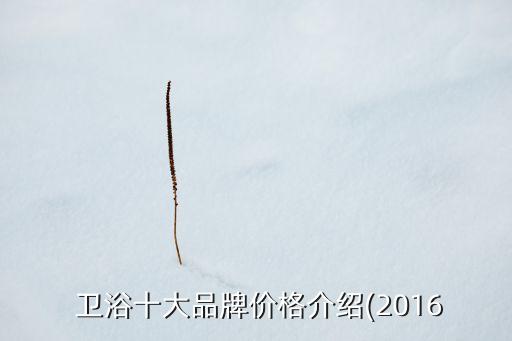  衛(wèi)浴十大品牌價(jià)格介紹(2016