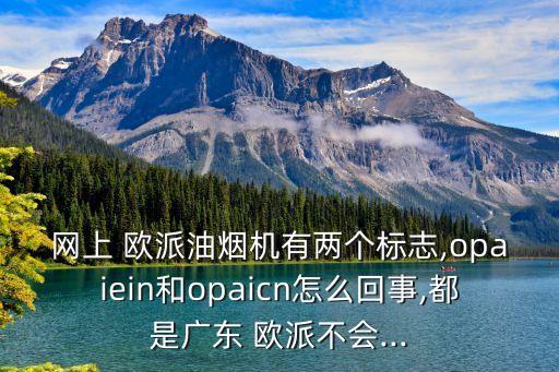 網(wǎng)上 歐派油煙機有兩個標志,opaiein和opaicn怎么回事,都是廣東 歐派不會...