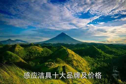 衛(wèi)浴電器回收品牌推薦大全