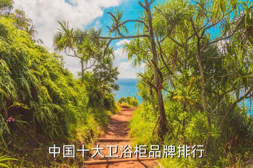 中國(guó)十大衛(wèi)浴柜品牌排行