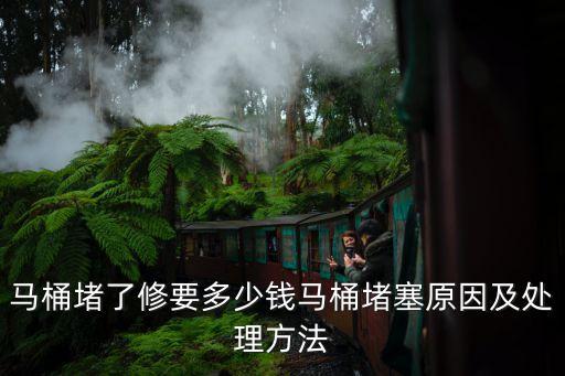 馬桶堵了修要多少錢馬桶堵塞原因及處理方法