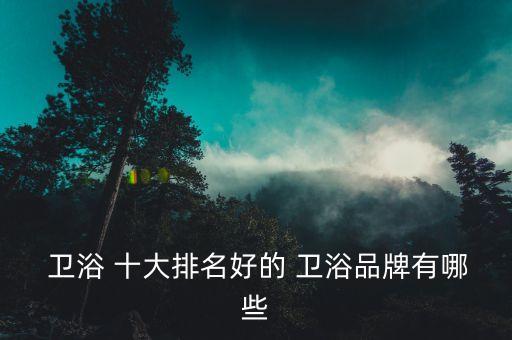  衛(wèi)浴 十大排名好的 衛(wèi)浴品牌有哪些