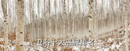 中宇衛(wèi)浴浴室柜款型圖片,中宇浴室柜的圖片大全集