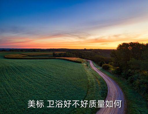 衛(wèi)浴一線品牌嗎美標(biāo)