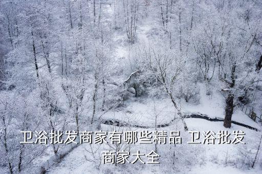  衛(wèi)浴批發(fā)商家有哪些精品 衛(wèi)浴批發(fā)商家大全