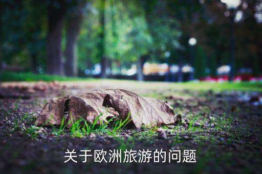 關于歐洲旅游的問題