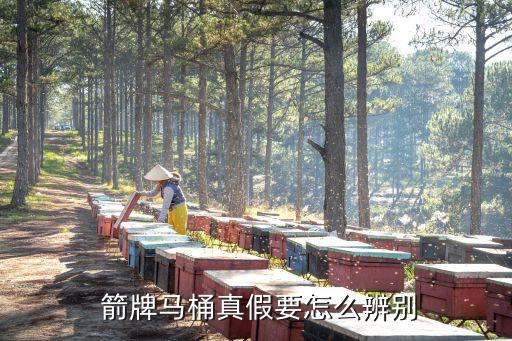  箭牌馬桶真假要怎么辨別