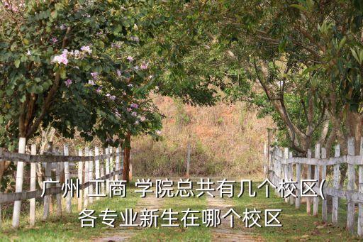  廣州 工商 學(xué)院總共有幾個校區(qū)(各專業(yè)新生在哪個校區(qū)