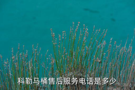 怒江六庫衛(wèi)浴電話號碼多少,云南怒江六庫報(bào)警電話號碼
