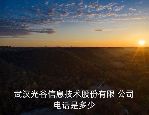  武漢光谷信息技術股份有限 公司 電話是多少