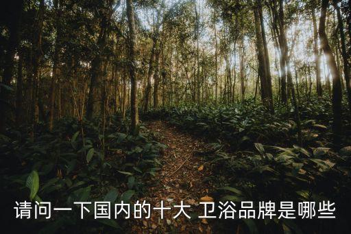 請問一下國內(nèi)的十大 衛(wèi)浴品牌是哪些