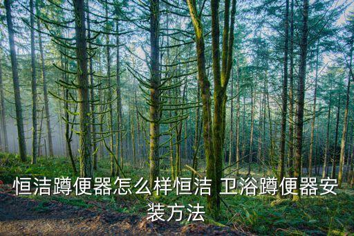 馬桶衛(wèi)浴安裝效果圖片,密封膠能不能安裝馬桶衛(wèi)浴柜