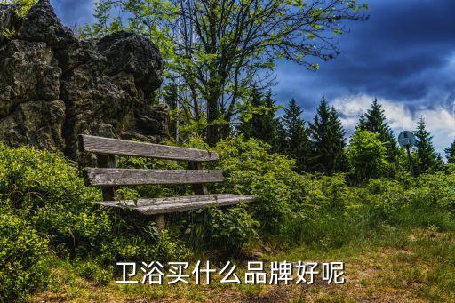 衛(wèi)浴品牌哪家強(qiáng)一些好,衛(wèi)浴十大品牌哪家性價(jià)比高