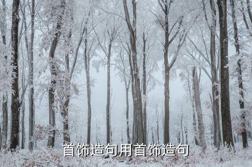 衛(wèi)浴頭飾收納盒圖片大全