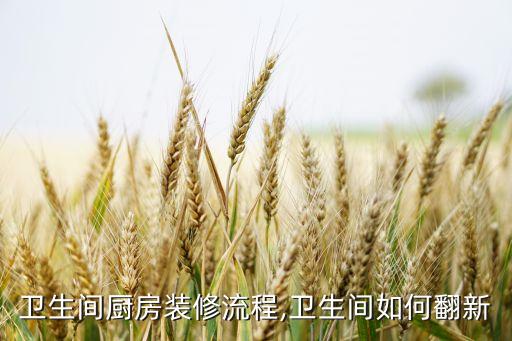 衛(wèi)浴龍頭改造大全圖片,安華衛(wèi)浴龍頭圖片