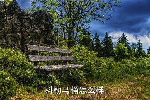 科勒馬桶怎么樣
