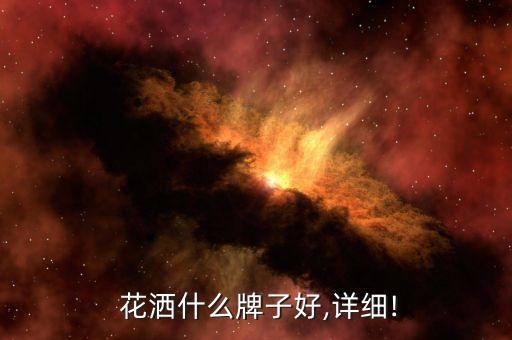 花灑什么牌子好,詳細!