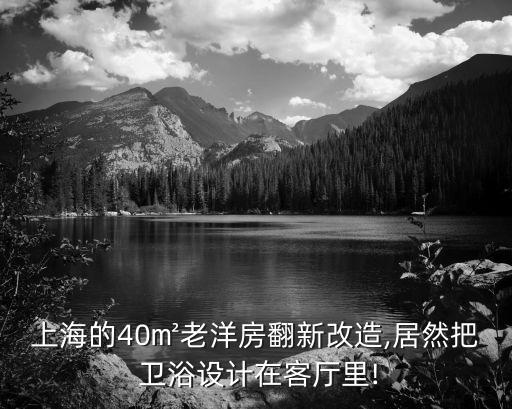上海的40㎡老洋房翻新改造,居然把 衛(wèi)浴設(shè)計(jì)在客廳里!
