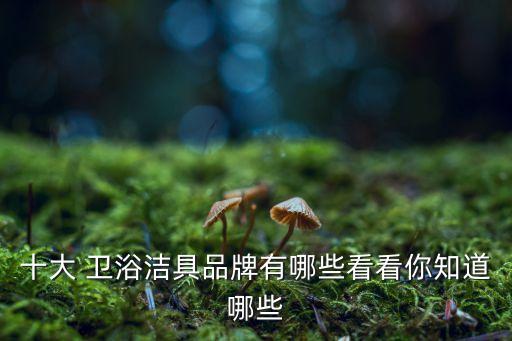 十大 衛(wèi)浴潔具品牌有哪些看看你知道哪些