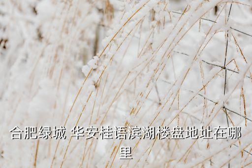 合肥綠城 華安桂語濱湖樓盤地址在哪里