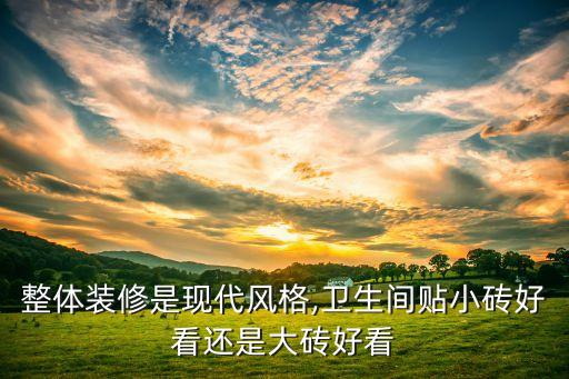 整體裝修是現代風格,衛(wèi)生間貼小磚好看還是大磚好看